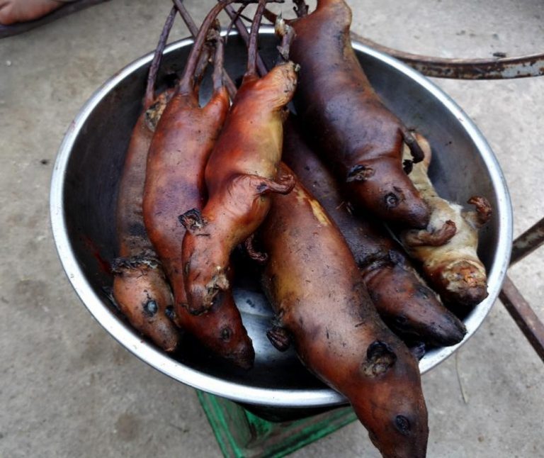 Thịt chuột La Chí - Hà Giang