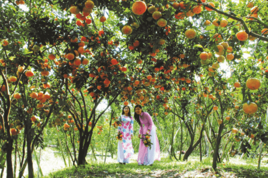 Vườn trái cây Long Khánh - Đồng Nai