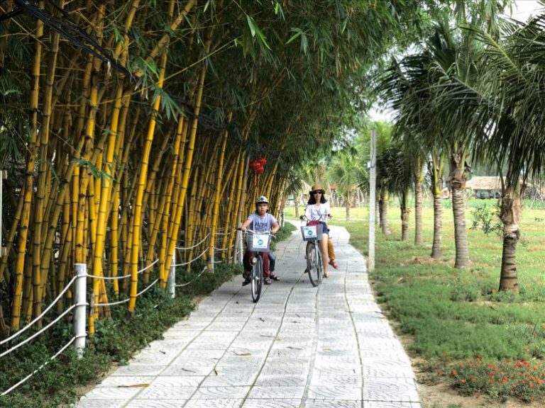 Rừng tre Hà Gia - Quảng Nam