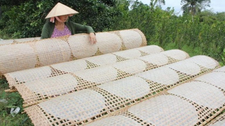 Tham quan cơ sở sản xuất bánh tráng - Tây Ninh